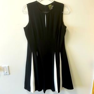 Taylor • B&W Fit and Flare Dress • Sz 14